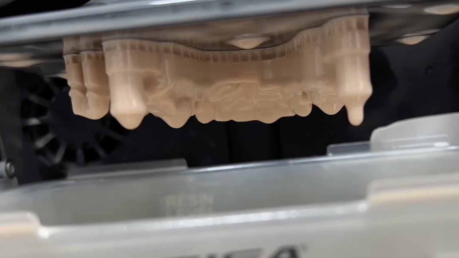 Premium Dental Prosthetics